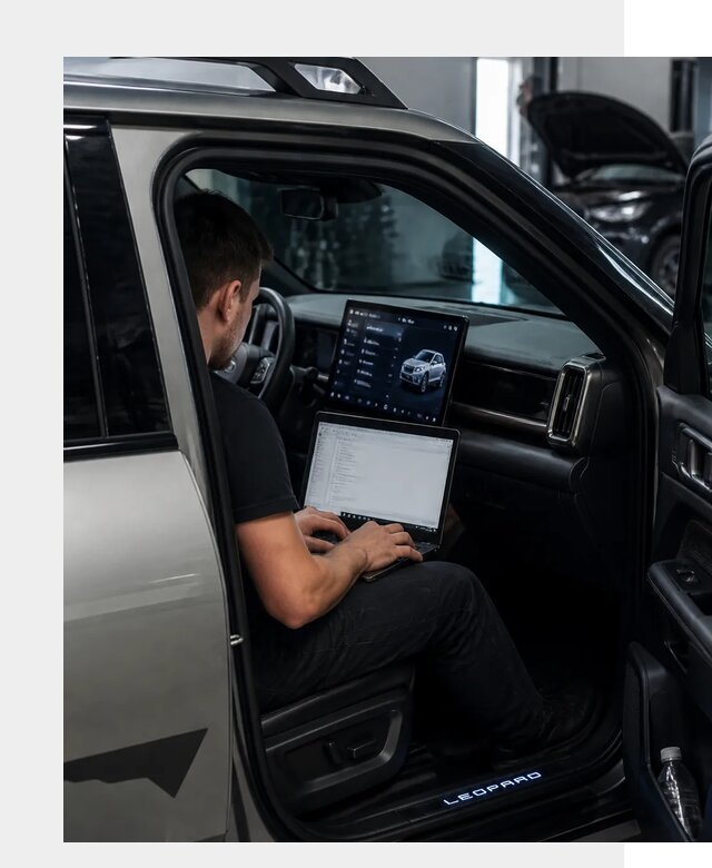 Русификация BYD Leopard 3 в Глазове по цене от 20304 р. | ФастМобиль-Глз